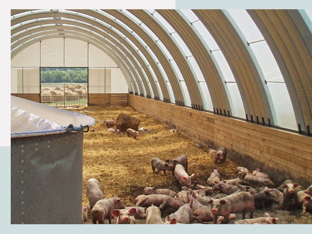 Строительство свинарников в Йошкаре-Ола