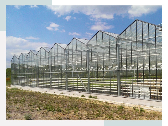 Строительство теплиц в Йошкар-Ола от 614 руб. за м²