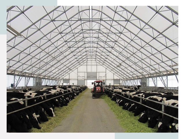 Тентовые коровники в Йошкаре-Ола от 614 руб. - Надежно и доступно