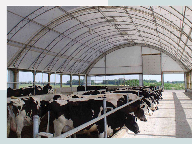 Тентовые коровники в Йошкаре-Ола